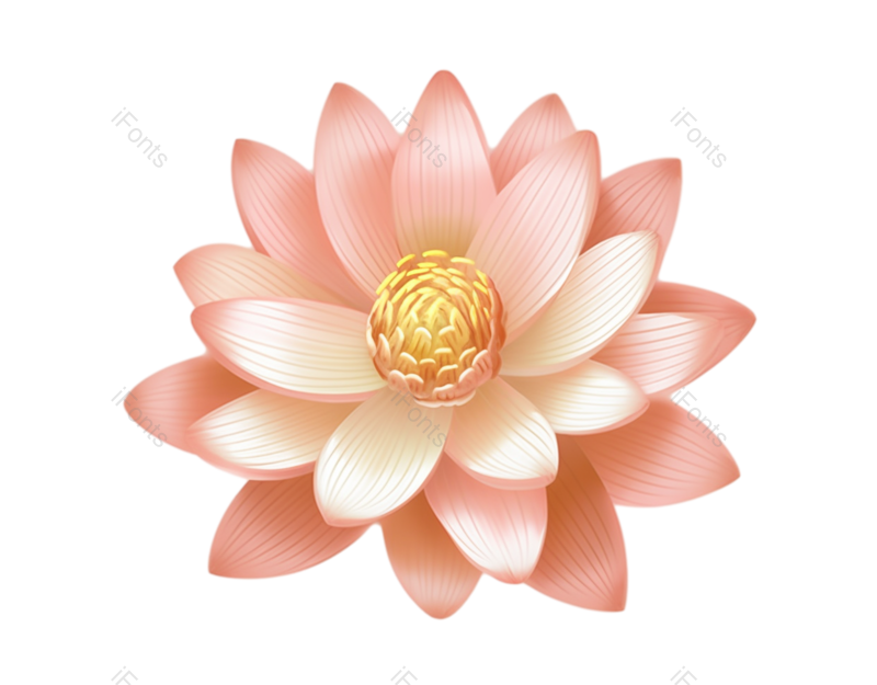 夏至图片,元素元素,荷花PNG,插画免抠素材